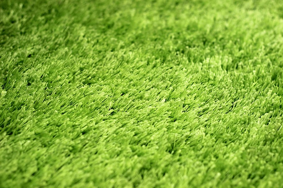 Makro, Teppich, Textilien, Hintergrund, Struktur, Stoff, Farbe, Muster, grüne Farbe, Pflanze, Vollbild, Hintergründe, Gras, Feld, keine Leute, Land, selektiver Fokus, Tag, Natur, Wachstum, Schönheit in der Natur, draußen, Nahansicht, Umgebung, Laub, Ruhe, texturiert, Landschaft, 5K