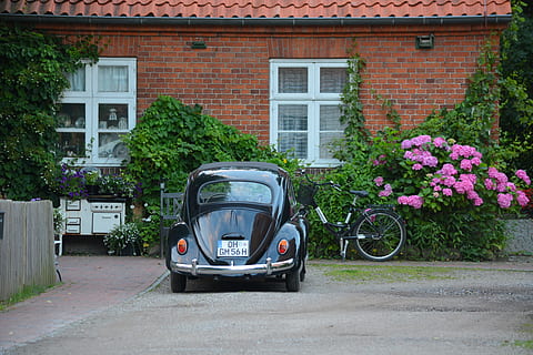 parkert, svart, Volkswagen beetle coupe, front, murstein hus, rosa, blomster, teknologi, VW, bille, oldtimer, Cismar, museum, anlegg, arkitektur, bygge eksteriør, bygget struktur, blomstrende plante, transport, blomst, transportmiddel, dag, bygning, land kjøretøy, natur, motorkjøretøy, hus, bil, utendørs, by, ingen folk, vindu, gate, 5K, CC0, offentlig domene, opphavsrett gratis