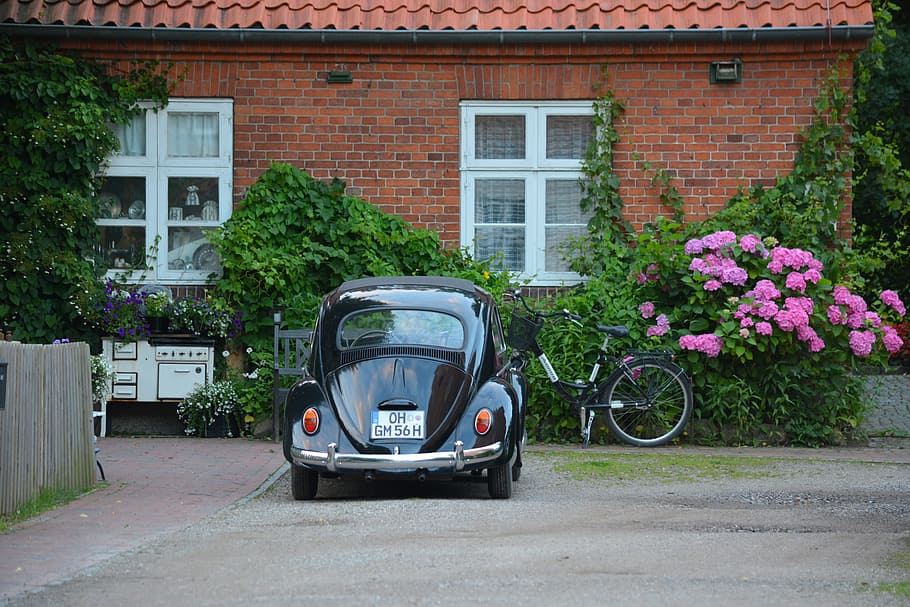parkeret, sort, Volkswagen beetle coupe, foran, mursten hus, lyserød, blomster, teknologi, vw, bille, oldtimer, Cismar, museum, plante, arkitektur, bygning udvendig, bygget struktur, blomstrende plante, transportmidler, blomst, transportform, dag, bygning, land køretøj, natur, motor køretøj, hus, bil, udendørs, by, ingen mennesker, vindue, gade, 5K