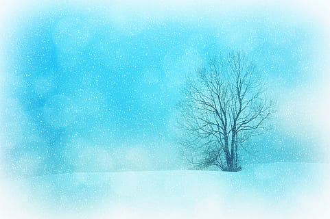 einsamer Baum, Textur, Hintergrund, Winter, winterlich, Schnee, Schneeflocken, Baum, einsam, Bokeh, Weihnachten, Weihnachtskarte, Blau, Weiß, kahler Baum, Frost, Schneelandschaft, eisig, kalt, kalte Temperatur, schneit, Umgebung, Natur, Pflanze, Schneesturm, Schönheit in der Natur, Szenen - Natur, Ast, Sturm, Eis, gefroren, Schneeflocke, Landschaft, extremes Wetter, keine Leute, draußen, Klima, 4K, CC0, gemeinfrei, lizenzfrei