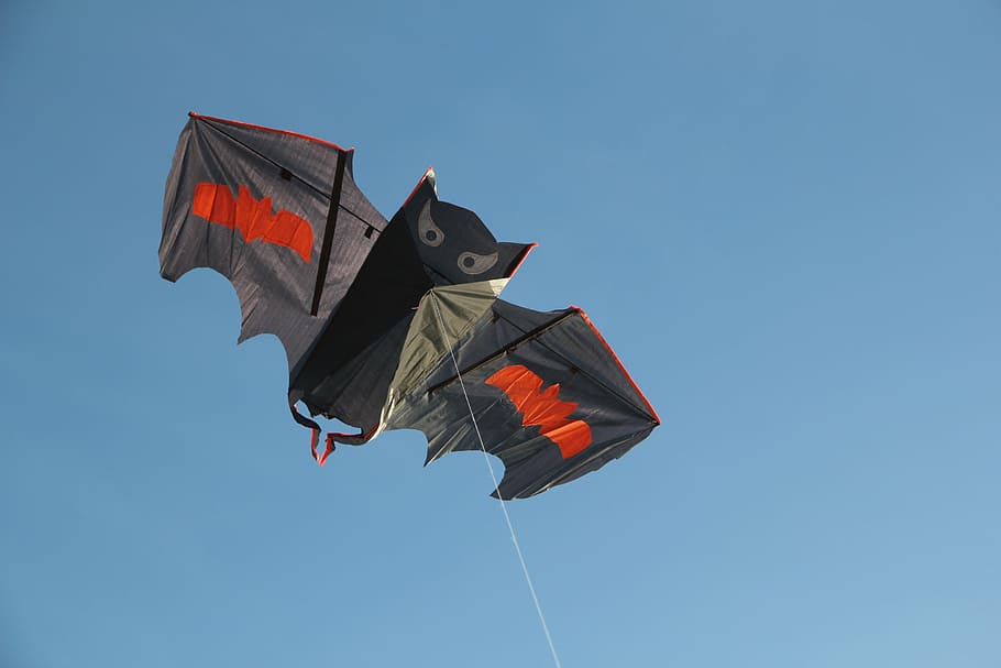 dracs, windspiel, vent, cometa, volar, jugar, cel, volant, vista d’angle baix, cel clar, naturalesa, dia, medi ambient, blau, assolellat, a l'aire, cap gent, bandera, cometa - joguina, a l'aire lliure, còpia espai, llum solar, el patriotisme, multicolor, moviment, 2K