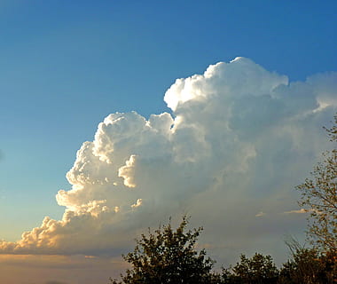 Wolke, Farben, Kumulus, Himmel, Sturm, Natur, Blau, draußen, Wetter, Sommer-, Tag, wolke - himmel, Hintergründe, szenen, Schönheit in der Natur, Wolkengebilde, Sonnenlicht, Ruhe, Flachwinkelansicht, Baum, ruhige Szene, Szenen - Natur, keine Leute, Pflanze, idyllisch, Wachstum, weiße Farbe, kopieren sie platz, Meteorologie, 2K, CC0, gemeinfrei, lizenzfrei