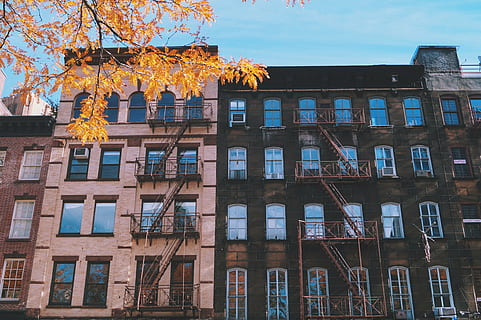 Marrone, beige, calcestruzzo, costruzione, blu, cielo, architettura, infrastruttura, foglia, autunno, albero, facciata, scena urbana, esterno dell'edificio, struttura costruita, Casa, finestra, città, appartamento, Inquadratura dal basso, nessuno, natura, pianta, giorno, modificare, all'aperto, quartiere residenziale, vetro - materiale, storia, luce del sole, 5K