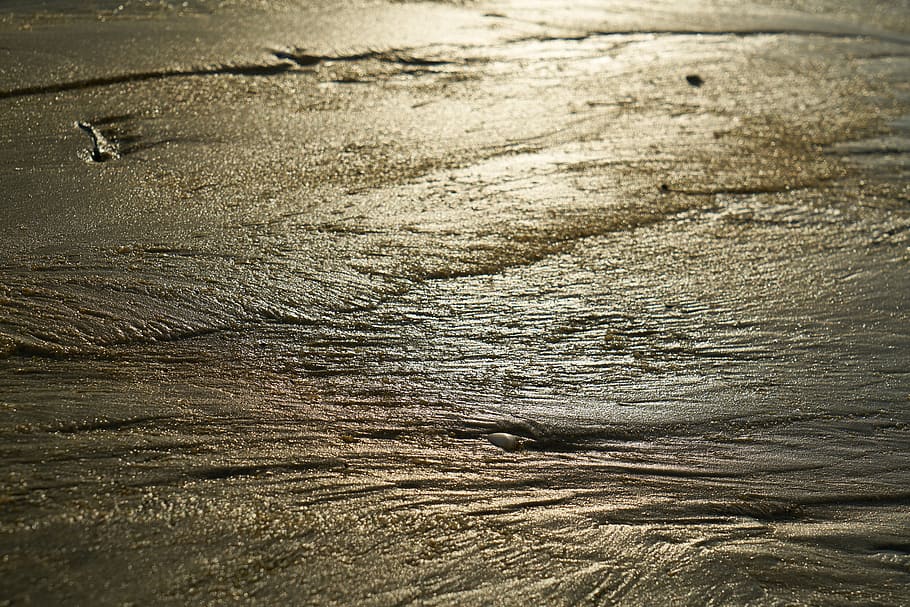 Foto, legeme, vand, dagtimerne, strand, sand, lys, afspejling, et sandkorn, solnedgang, sol, sammensætning, tapet, kystlinje, natur, miljømæssige, baggrund, sommer, smuk, ferie, makro, sæson, ingen mennesker, fuld ramme, mønster, dag, baggrunde, høj vinkel visning, udendørs, tekstureret, ro, våd, skønhed i naturen, tæt på, sollys, jord, hav, koncentriske, 5K