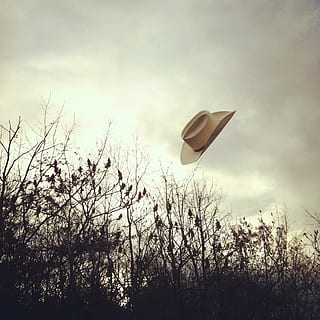 flygende lue, flying, natur, himmel, utendørs, tre, anlegg, sky - himmel, ingen folk, vekst, i lufta, lav vinkel visning, dag, bare tre, ro, gren, land, skjønnhet i naturen, felt, transport, bygget struktur, 1080P, CC0, offentlig domene, opphavsrett gratis
