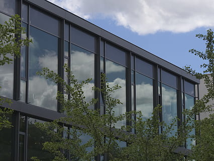 Fenster, Reflexion, Ginko, Wolken, Gebäude, Glasfront, Pflanze, die Architektur, gebaute Struktur, Gebäudehülle, Natur, Glas - Material, wolke - himmel, Baum, Tag, Himmel, Wachstum, transparent, keine Leute, draußen, Gewächshaus, Schönheit in der Natur, modern, 5K, CC0, gemeinfrei, lizenzfrei