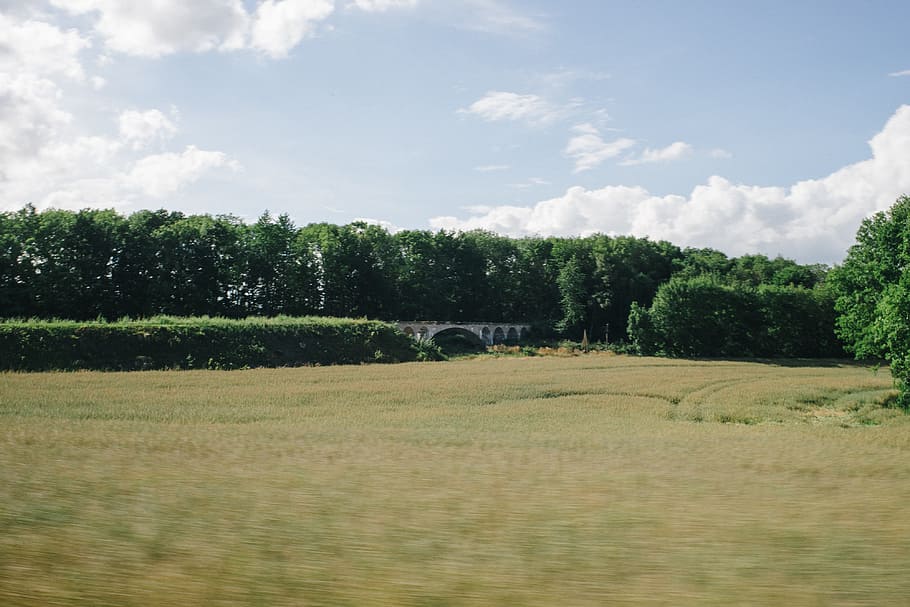stary, most, napędowy, stary most, krajobraz, Natura, drzewo, scena wiejska, pole, rolnictwo, na dworze, scenics, lato, zielony kolor, trawa, niebo, łąka, scena pozamiejska, gospodarstwo rolne, roślina, żadnych ludzi, wzgórze, dzień, chmura - niebo, wylądować, wzrost, spokój, spokojna scena, środowisko, piękno natury, scenics - natura, sport, 4K