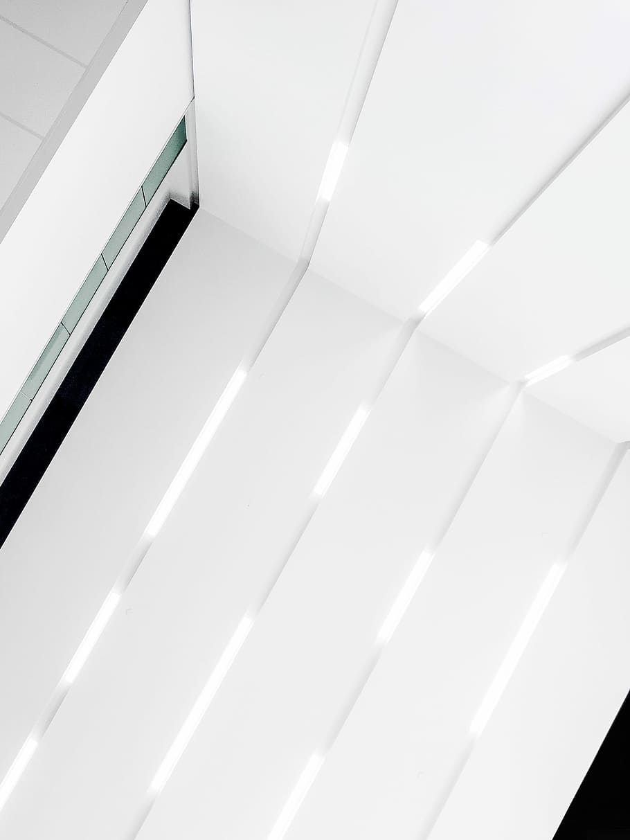 detailní, fotografie, bílý, dřevěný, zeď, nástěnné barvy, moderní, textura, světlo, minimalismus, minimalistický, minimální, řádek, architektura, osvětlení, střecha, strop, atrium, budova, vzhlížet, uvnitř, vzor, nikdo, bílá barva, stavba, pozadí, nízký úhel pohledu, detail, design, abstraktní, celý rám, nástěnný prvek, domácí interiér, den, technologie, architektonický prvek, střešní nosník, 2K