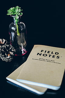 câmpuri note de câmp, câmp note, sticla de sticla, Notepad, notificare, muncă, spațiu de lucru, plantă, sticlă, con de brad, scris, flatlay, design interior, decor, Afaceri, Modă, stil, carte, floare, masa, planta cu flori, recipient, în interior, text, comunicare, western script, băutură, natură, nici o persoana, vază, natură moartă, Fundal negru, sticla, prospeţime, mancare si bautura, cap de floare, mesaj, 4K, CC0, domeniu public, fără drepturi de autor