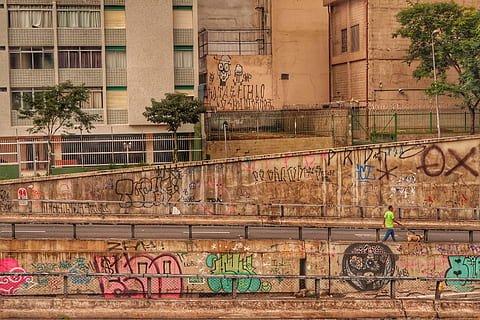 graffiti mur kunst, Foto, malet, vægge, gade, ved siden af, bygning, dagtimerne, gå med, hund, urban scene, bygning udvendig, arkitektur og bygninger, arkitektur, fugl, bygget struktur, dag, ingen mennesker, graffiti, Kunst og håndværk, kreativitet, gadekunst, murbygningsfunktion, tekst, væg, by, udendørs, transportmidler, rækværk, repræsentation, vestlige script, meddelelse, 5K, CC0, offentligt domæne, royaltyfrie