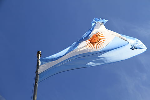 blue, white, striped, sun flag, sky, flag, argentina, argentinian, one animal, animal wildlife, animal themes, animal, animals in the wild, no people, sea life, underwater, close-up, nature, low angle view, day, outdoors, wind, clear sky, bird, vertebrate, environment, copy space, colored background, patriotism, shape, blue background, 5K, CC0, public domain, royalty free