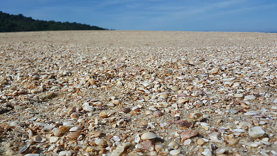 pantai, kerang, langit, biru, merusak, bukit, Brazil, beira mar, pasir, tanah, pemandangan, alam, hari, ketenangan, bidang, tidak ada orang, lingkungan Hidup, adegan yang tenang, menanam, keindahan di alam, pemandangan pedesaan, scenics - alam, awan - langit, pertumbuhan, pertanian, di luar rumah, padat, batu, tingkat permukaan, kerikil, 5K, CC0, domain publik, bebas royalti