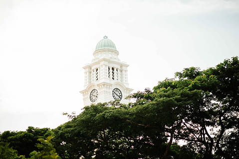 blanco, hormigón, cúpula de la torre del reloj, verde, hojeado, arboles, grande, ben, Torre del Reloj, reloj, edificio, torre, arquitectura, árbol, planta, estructura construida, destinos de viaje, exterior del edificio, naturaleza, cielo, vista de ángulo bajo, nadie, viaje, Hazme, historia, turismo, el pasado, día, al aire libre, color verde, gobierno, 5K, CC0, dominio público, libre de derechos