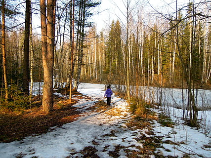 Frühling, Strand, Mädchen, Mann, finnisch, Landschaft, Natur, Wasser, See, kalt, Eis, sonnig, zurück, Fersen, Sonnenuntergang, Baum, Land, Pflanze, Schnee, Winter, echte Menschen, eine Person, Lebensstile, Tag, kalte Temperatur, Wald, Freizeitbeschäftigung, in voller Länge, Schönheit in der Natur, Nicht-städtische Szene, Wachstum, Ruhe, Szenen - Natur, draußen, warme Kleidung, 2K, CC0, gemeinfrei, lizenzfrei