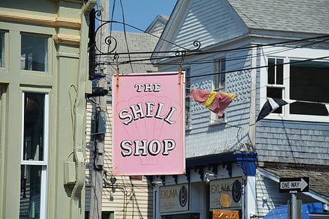 Cape Cod, Shell-Shop, Neu England, Text, Gebäudehülle, Kommunikation, die Architektur, gebaute Struktur, westliche Schrift, Zeichen, Tag, keine Leute, Gebäude, Information, nicht-westliche Schrift, draußen, Skript, Hinweisschild, Tier, Fenster, Wohngegend, Stadt, Wirbeltier, 5K, CC0, gemeinfrei, lizenzfrei
