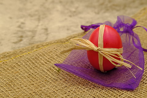 Ostern, Osterei, Osterfeier, geben, Geschenk, Ei, Ostergrüße, osterkarte, Postkarte, Grußkarte, Stillleben, Nahansicht, Band, keine Leute, Band - Nähartikel, Fokus auf den Vordergrund, High Angle View, drinnen, Frische, gebunden, Blume, gebundener Bogen, Tabelle, blühende Pflanze, Muster, Lebensmittel, Bogen, Feier, Essen und Trinken, selektiver Fokus, lila, 5K, CC0, gemeinfrei, lizenzfrei