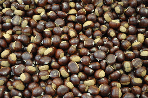 marroni, kastaņu, kastanis, marroni, pārtika un dzērieni, svaigumu, tuvplāns, pilna kadra, ēdiens, fona, pārpilnība, liela objektu grupa, brūna, veselīga ēšana, nav cilvēku, Klusā daba, labklājību, augsts leņķa skats, telpās, uzgriezni, rieksts - pārtika, kastaņu - pārtika, jēls ēdiens, lazdu rieksti, kofeīns, 4K, CC0, publiskais domēns, bez atlīdzības