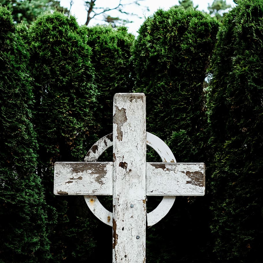 bílý, dřevěný, keltský, přejít, zelená, listoval, rostlin, během dne, nepojmenovaná, keř, živý plot, strom, rostlina, náboženství, víra, duchovno, nikdo, den, Příroda, hrob, tvar kříže, zelená barva, hřbitov, venku, kámen, náhrobek, symbol, emoce, 4K