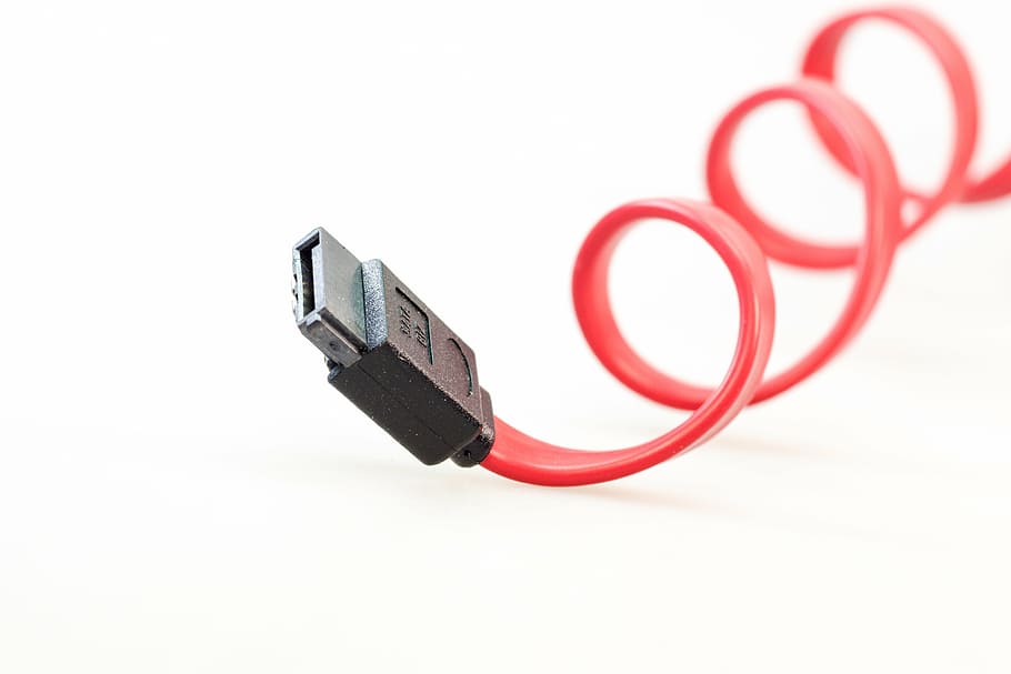 vermell, negre, cable usb, cable, ordinador, sata, s-ata, connexió, endoll, PC, maquinari, edp, processament de dades, línia, periferia, macro, això, accessoris, datailaufnahme, tecnologia, equipament, fons blanc, comunicació, tir de l'estudi, tallar, a l'interior, cable d’ordinador, primer pla, cap gent, Color blanc, tecnologia sense fils, còpia espai, equips informàtics, Internet, xarxa d’ordinadors, component elèctric, equipament elèctric, 4K