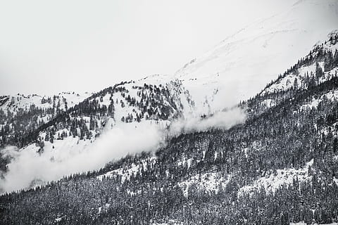 grayscale photo, snow, capped, mountain, avalanche, photo, trees, gray, scale, photography, winter, forest, hills, mountains, black and white, landscape, nature, cold temperature, no people, day, outdoors, scenics, beauty in nature, scenics - nature, tranquil scene, tree, plant, sky, tranquility, environment, non-urban scene, land, snowcapped mountain, pine tree, coniferous tree, pine woodland, 2K, CC0, public domain, royalty free