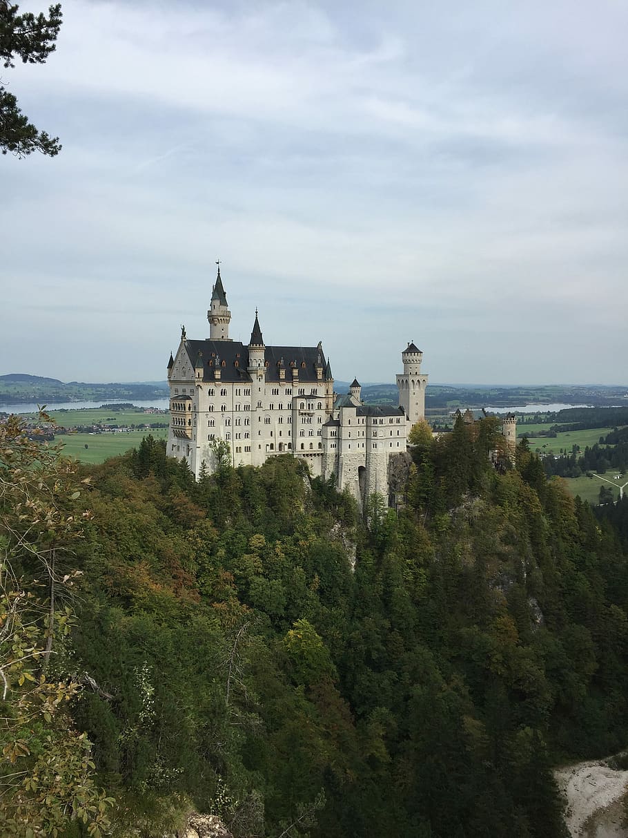castell de neuschwanstein, blanc, negre, concret, castell, arquitectura, bosc, torre, arbres, tardor, caure, llac, edifici, edifici antic, austrium, estructura construïda, arbre, planta, exterior de l'edifici, cel, naturalesa, història, creixement, el passat, núvol - cel, dia, destinacions de viatge, cap gent, viatjar, color verd, turisme, bellesa a la natura, a l'aire lliure, 4K