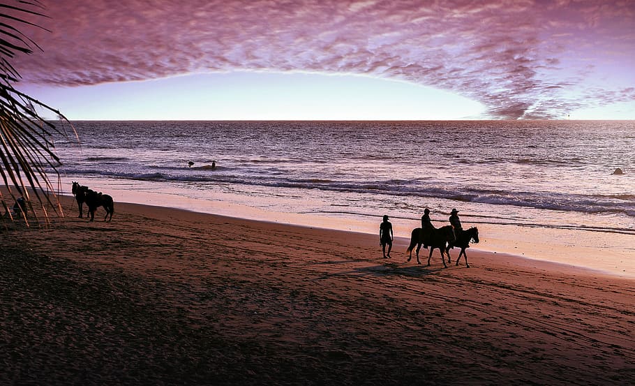 posta de sol, sorra, platja, horitzontal, a l'aire lliure, costa, paisatge, panoràmica, mar, cos d'aigua, cavalleria, viatjar, terra, aigua, animals domèstics, mamífer, cel, temes d'animals, nacional, animal, mascotes, naturalesa, bellesa a la natura, gos, caní, horitzó, horitzó sobre l’aigua, 4K