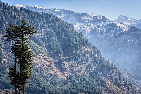 hava, fotoğrafçılık, dağ, manali, Himalayalar, sessiz, zemin, peyzaj, dağlar, seyahat, trek, manzara, sabahın erken saatleri, soğuk, güzel, ağaçlar, doğa, zirve, dağ silsilesi, dağ zirvesi, dış mekan, kar, gökyüzü, Kaya, üst, çam ağacı, kış, ağaç, scenics, orman, gün, çevre, bitki, doğada güzellik, manzaralar - doğa, iğne yapraklı ağaç, arazi, Pinaceae, soğuk hava, insansız, açık havada, çam ormanları, Karla kaplı dağ, 5K, CC0, kamu malı, telif ücretsiz