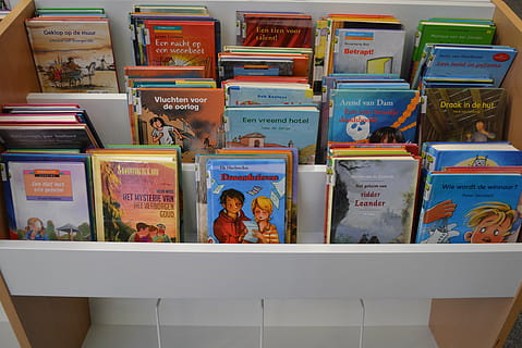libri, biblioteca, leggere, scelta, variazione, nessuno, comunicazione, in casa, testo, pubblicazione, preparativi, grande gruppo di oggetti, in vendita, collezione, contenitore, natura morta, libro, mensola, rappresentazione, multicolore, Al dettaglio, rappresentazione umana, sceneggiatura occidentale, 4K, CC0, dominio pubblico, privo di copyright