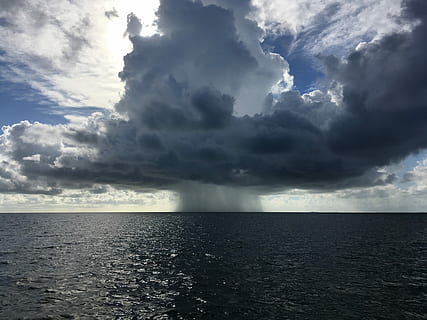 micro squall, mar, blanc, núvols, pluja, núvol de tempesta, tempesta, cel blau, aigua, horitzó, cloudscape, sol, ombra, oceà, núvol, núvol - cel, cel, horitzó sobre l’aigua, bellesa a la natura, escenics - natura, naturalesa, cap gent, tranquil·litat, medi ambient, dia, cel dramàtic, a l'aire lliure, poder a la natura, ominós, 4K, CC0, domini públic, lliure de regalies