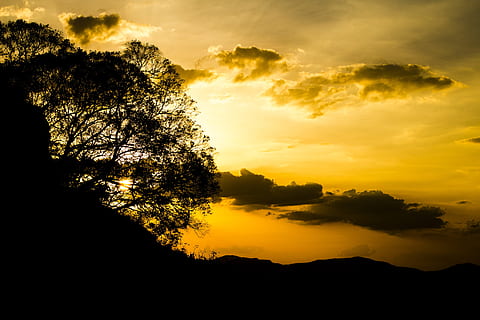 lys, daggry, landskab, natur, baggrundsbelyst, skyer, mørk, skumring, aften, efterår, guld, gylden time, udendørs, Foto, silhuet, himmel, sol, solnedgang, træer, skønhed i naturen, træ, scenics - natur, ro, sky - himmel, rolig scene, plante, orange farve, idyllisk, ingen mennesker, dramatisk himmel, ikke-urbane scene, miljø, vækst, ærefrygt, 2K, CC0, offentligt domæne, royaltyfrie