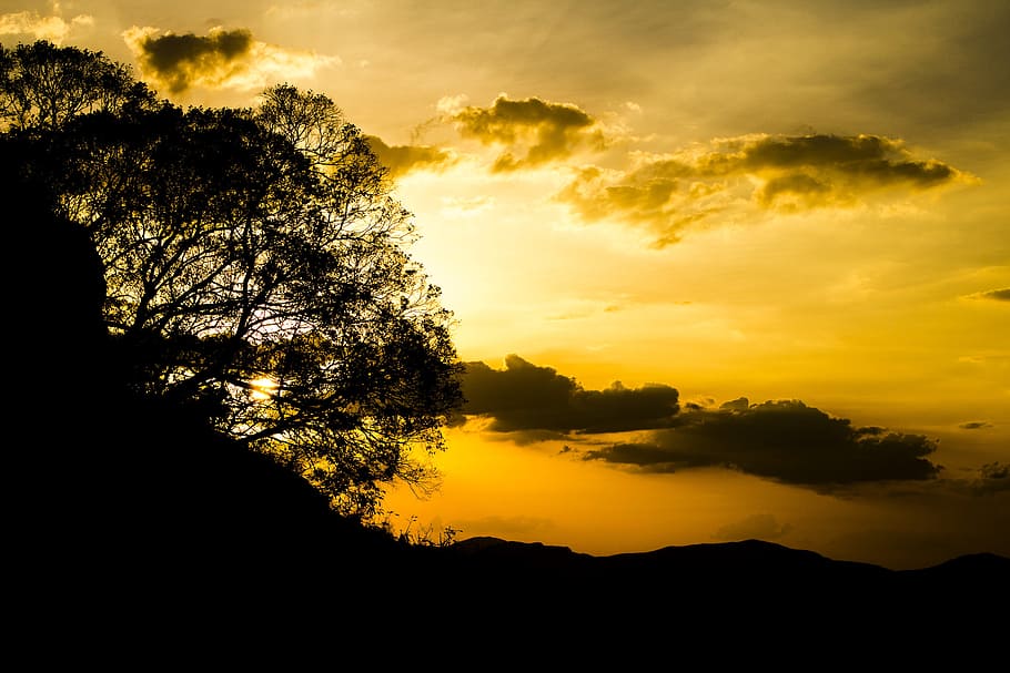 lys, daggry, landskab, natur, baggrundsbelyst, skyer, mørk, skumring, aften, efterår, guld, gylden time, udendørs, Foto, silhuet, himmel, sol, solnedgang, træer, skønhed i naturen, træ, scenics - natur, ro, sky - himmel, rolig scene, plante, orange farve, idyllisk, ingen mennesker, dramatisk himmel, ikke-urbane scene, miljø, vækst, ærefrygt, 2K
