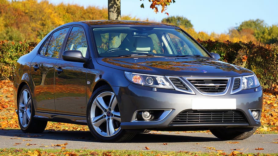 sort, sedan, træ, bil, saab, automobil, afspejling, auto, klassisk, transportmidler, køretøj, karrosseri, transportere, skinnende, luksus, magtfulde, lakken, hastighed, sport, teknologi, aerodynamisk, maling, stål, metal, design, hætte, farve, ren, saab 93, blå, ingen mennesker, dag, udendørs, transportform, motor køretøj, land køretøj, stationær, plante, natur, vintage bil, jord, forlygte, lave om, Mark, vej, sølvfarvet, 4K
