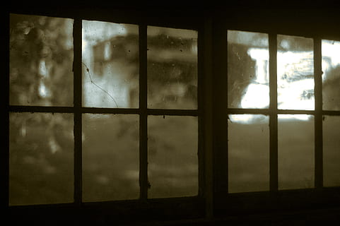 cabaña de la naturaleza, ventana de vidrio, negro, marco de acero, naturaleza, choza, ventana, cristal, cuadro, adentro, nadie, abandonado, antiguo, arquitectura, material de vidrio, oscuro, arquitectura y edificios, día, de cerca, transparente, edificio, luz del sol, forma geometrica, estructura construida, cielo, cuadrícula, casa, reflexión, planta, árbol, marco de la ventana, 2K