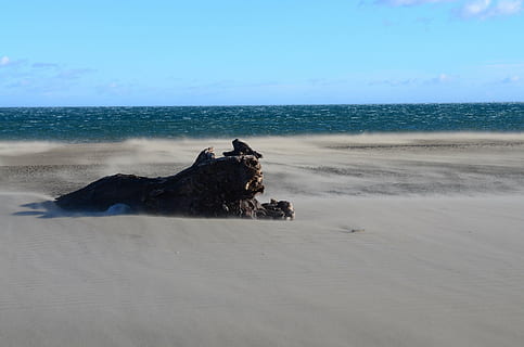 paisatge, platja, tronc, mar, cel, aigua, horitzó, terra, horitzó sobre l’aigua, bellesa a la natura, escenics - natura, tranquil·litat, escena tranquil·la, naturalesa, sorra, rock, rock - object, dia, cap gent, idíl·lic, sòlid, 4K, CC0, domini públic, lliure de regalies