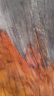 cypress bark tekstur, bark, struktur, tekstureret, fuld ramme, baggrunde, træ - materiale, mønster, tæt på, ingen mennesker, ru, Brun, forvitret, træ, dag, træstamme, bagagerum, gammel, udendørs, natur, naturligt mønster, trækorn, tekstureret effekt, 4K, CC0, offentligt domæne, royaltyfrie