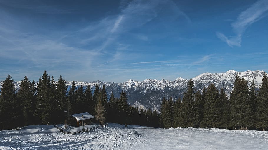 pins, camp de neu, blau, cel, durant el dia, neu, hivern, blanc, fred, temps, gel, arbres, plantes, naturalesa, casa, tanca, boscos, bosc, núvols, temperatura de fred, escenics, tranquil·litat, escena tranquil·la, bellesa a la natura, arbre, planta, escenics - natura, muntanya, medi ambient, escena no urbana, paisatge, núvol - cel, terra, cap gent, pi, arbre de coníferes, muntanya nevada, bosc de pi, estació d'esquí, 5K