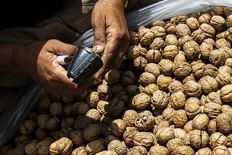 Nuss, Nussbaum, knacken, Nüsse, Nüsse knacken, braun, gesund, Lebensmittel, Ernährung, roh, Kurdistan, traditionell, Mittlerer Osten, Fülle, Essen und Trinken, Markt, große gruppe von gegenständen, Landwirtschaft, menschliches Körperteil, menschliche Hand, Hand, eine Person, halten, Arbeiten, Männer, High Angle View, Frische, Besetzung, Geschäft, draußen, Nahansicht, Finger, menschliches Glied, 2K, CC0, gemeinfrei, lizenzfrei