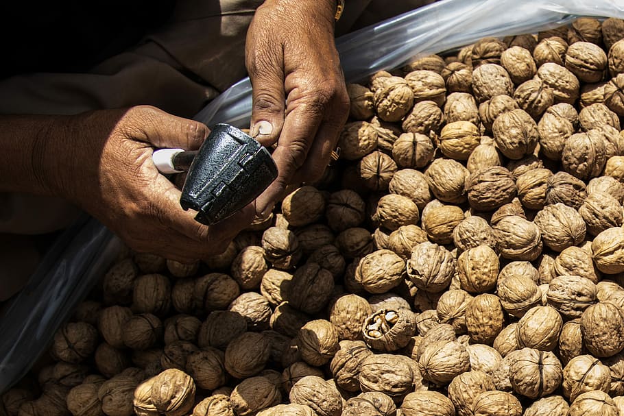 nou, noguera, esquerdes, fruits secs, marró, saludable, menjar, nutrició, crua, Kurdistan, tradicional, Orient Mitjà, abundància, menjar i beguda, mercat, gran grup d'objectes, agricultura, part del cos humà, mà humana, mà, una persona, celebració, treball, homes, vista d’angle alt, frescor, ocupació, negocis, a l'aire lliure, primer pla, dit, extremitat humana, 2K