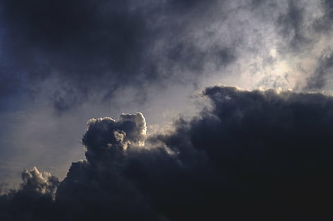 foto awan, keemasan, jam, alam, langit, awan, matahari, cahaya, mengintip, bayangan, yg beralamat buruk, cuaca, awan - langit, langit yang dramatis, tidak ada orang, awan badai, badai, pemandangan, di luar rumah, keindahan di alam, tampilan sudut rendah, satu binatang, scenics - alam, cloudscape, tema binatang, hewan, lingkungan Hidup, mendung, bayangan hitam, ketenangan, 5K, CC0, domain publik, bebas royalti