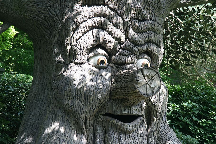 gris, tronc de l'arbre, cara, verd, planta de fulla, durant el dia, arbre de fades, fantasia, efteling, tema, naturalesa, arbre, planta, dia, cap gent, art i artesania, creativitat, representació, tronc, creixement, a l'aire lliure, representació humana, escultura, vista d’angle baix, primer pla, cara antropomòrfica, textura, artesania, 4K