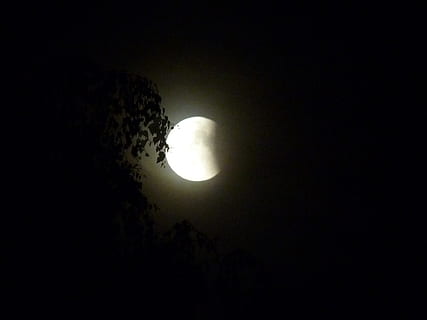 Eclipse de lluna, nit, lluna, cel, blanc i negre, fotografia nocturna, vista d’angle baix, escenics - natura, bellesa a la natura, espai, tranquil·litat, Lluna planetària, escena tranquil·la, còpia espai, astronomia, naturalesa, fosc, cap gent, llum de la lluna, silueta, a l'aire lliure, lluna plena, idíl·lic, espai i astronomia, eclipsi, 1080P, CC0, domini públic, lliure de regalies