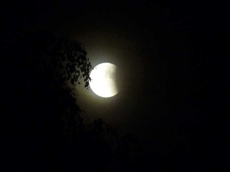 Eclipse de lluna, nit, lluna, cel, blanc i negre, fotografia nocturna, vista d’angle baix, escenics - natura, bellesa a la natura, espai, tranquil·litat, Lluna planetària, escena tranquil·la, còpia espai, astronomia, naturalesa, fosc, cap gent, llum de la lluna, silueta, a l'aire lliure, lluna plena, idíl·lic, espai i astronomia, eclipsi, 1080P