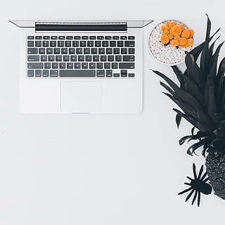 omena, kaktus, tietokone, vastaanotto, hedelmä, kannettava tietokone, MacBook, ananas, kasvi, ruukkukasvi, tekniikka, langaton tekniikka, viestintä, näppäimistö, tietokoneen näppäimistö, sisällä, tietokonelaitteisto, kukka, yhteys, kopiointitila, pöytä, ei ihmisiä, kannettava tietoväline, lähikuva, luonto, 4K, CC0, public domain, rojaltivapaa