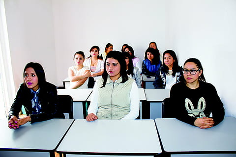 group, women, sitting, chair, college, class, students, people, group Of People, indoors, smiling, classroom, caucasian Ethnicity, table, young adult, adult, young women, real people, business, males, men, young men, glasses, females, togetherness, office, coworker, 5K, CC0, public domain, royalty free