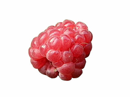 Raspberry, berry, close up, red, fruit, food, berry Fruit, freshness, ripe, isolated, close-up, healthy Eating, sweet Food, white Background, food And Drink, white, organic, dessert, cut out, studio shot, wellbeing, indoors, still life, no people, group of objects, copy space, group, snack, 1080P