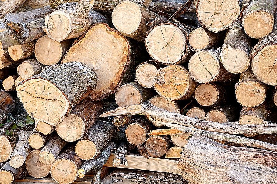 pila, marró, troncs de fusta, plantes, arbre, branca, tronc, tallar, caure, estoc, registres, boscos, sec, llenya, registre, fusta, pila de fusta, indústria de la fusta, Munt, material de fusta, desforestació, indústria forestal, bosc, gran grup d'objectes, marc complet, qüestions ambientals, abundància, generació de combustible i energia, fons, combustibles fòssils, naturalesa, cap gent, a l'aire lliure, picat, anell d’arbre, 5K