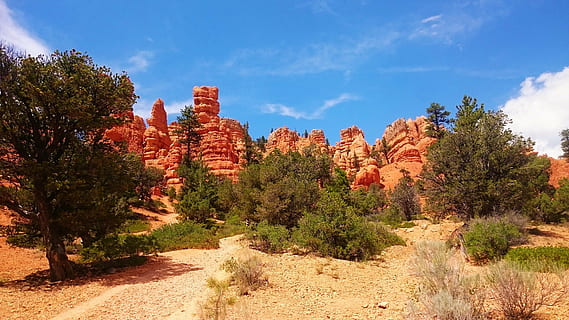 ağaç, dağ, çöl, Güneş, gökyüzü, Ilık, hafif sıcak, doğa, Amerika Birleşik Devletleri, peyzaj, utah, scenics, kumtaşı, kaya - nesne, açık havada, kırmızı, kanyon, güneybatı abd, bitki, insansız, doğada güzellik, manzaralar - doğa, seyahat yerleri, kaya oluşumu, bulut - gökyüzü, Kaya, çevre, kentsel olmayan sahne, arazi, katı, mavi, gün, yarı kurak, aşınmış, 4K, CC0, kamu malı, telif ücretsiz