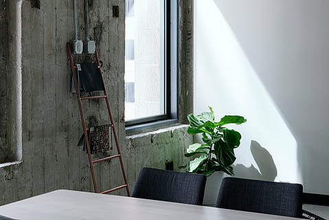 Marrone, scala, pendente, parete, verde, leafed, pianta, tavolo, sedia, finestra, bicchiere, luce del sole, interno, bianca, in casa, nessuno, giorno, architettura, struttura costruita, interno di casa, mobilia, caratteristica della parete, natura, stanza domestica, posto a sedere, assenza, pianta in vaso, legno - materiale, vuoto, Colore bianco, pianta della casa, 2K, CC0, dominio pubblico, privo di copyright