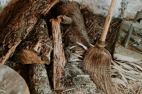 brown, broom, beside, log, trunk, old, dry, chop, steel, wood, wooden, dirt, soil, no people, wood - material, close-up, day, indoors, nature, tree, plant, outdoors, tree trunk, still life, growth, plant part, cleaning equipment, building, high angle view, 4K, CC0, public domain, royalty free