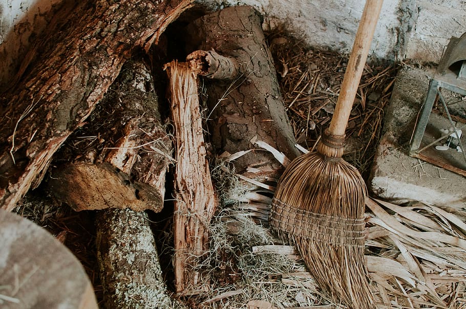 brown, broom, beside, log, trunk, old, dry, chop, steel, wood, wooden, dirt, soil, no people, wood - material, close-up, day, indoors, nature, tree, plant, outdoors, tree trunk, still life, growth, plant part, cleaning equipment, building, high angle view, 4K